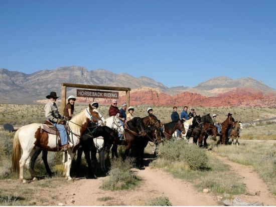 乗馬体験ツアー　レッドロックキャニオン＜乗馬2時間／午前／英語ガイド＞