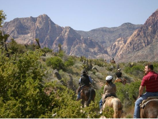 乗馬体験ツアー　レッドロックキャニオン＜乗馬2時間／午前／英語ガイド＞