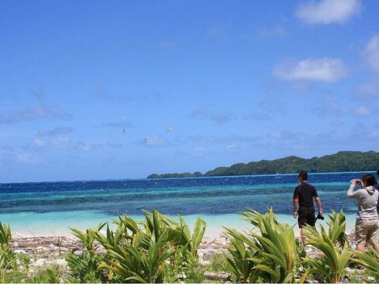 コロール島内観光　パラオの見どころを巡る1日ツアー　ショッピングセンター立ち寄りあり＜午前または午後／送迎付き＞by パラオ・パシフイックダイバーズ