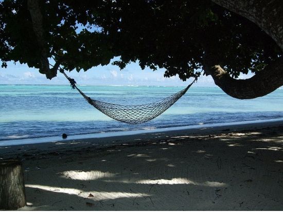 コロール島内観光　パラオの見どころを巡る1日ツアー　ショッピングセンター立ち寄りあり＜午前または午後／送迎付き＞by パラオ・パシフイックダイバーズ