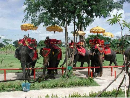 人気スポットを巡る1日観光ツアー！アユタヤ遺跡＋バンコク3大寺院＋映え寺院 ワットパクナム　民族衣装撮影＆ゾウ乗り体験可＜1日／日本語／ランチ／送迎＞