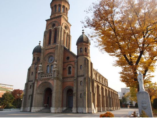 全州韓屋村とロケ地巡り「雲が描いた月明り」「隠し味にはロマンス」など（全州郷校＋梧木台＋慶基殿＋殿洞聖堂）＜全州ビビンパ昼食付／日本語ガイド／ソウルホテル送迎＞