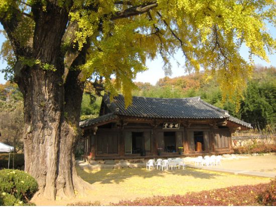 全州韓屋村とロケ地巡り「雲が描いた月明り」「隠し味にはロマンス」など（全州郷校＋梧木台＋慶基殿＋殿洞聖堂）＜全州ビビンパ昼食付／日本語ガイド／ソウルホテル送迎＞