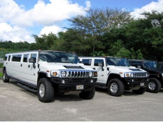 リムジン貸切観光チャーター 　自由にアレンジできるフリープラン＜最大11名／2時間～／英語ドライバー／1台あたり料金＞