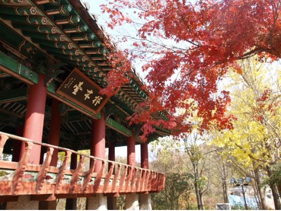 全州韓屋村＋広寒楼苑「雲が描いた月明り」「赤い袖先」などロケ地巡り1日ツアー＜日本語ガイド／全州ビビンバ昼食付／ソウルホテル送迎＞