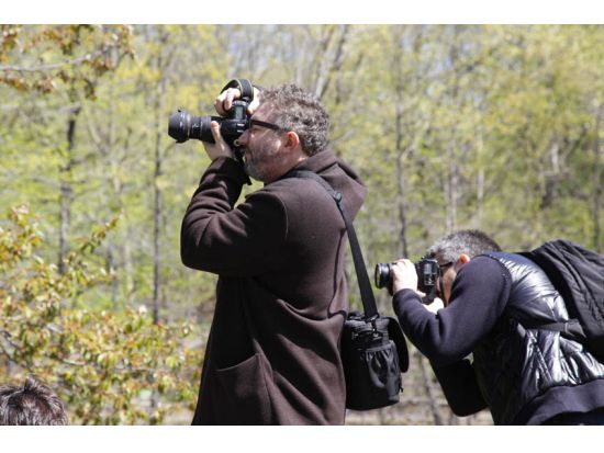 セントラルパーク 写真撮影レッスン　四季を感じる撮影スポットをご案内 ＜2時間／英語インストラクター＞