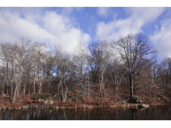 セントラルパーク 写真撮影レッスン　四季を感じる撮影スポットをご案内 ＜2時間／英語インストラクター＞