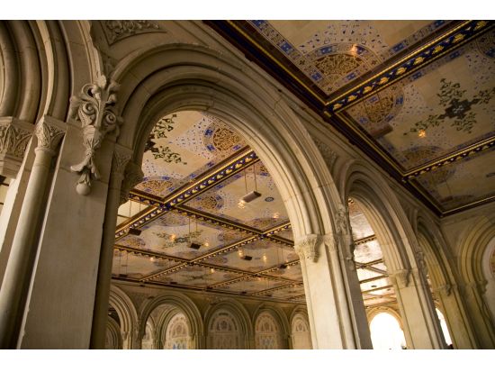 セントラルパーク 写真撮影レッスン　四季を感じる撮影スポットをご案内 ＜2時間／英語インストラクター＞