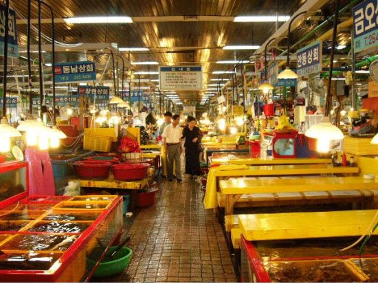 釜山市内半日観光ツアー　釜山タワー＆活気あふれるチャガルチ市場や国際市場を散策！釜山名物ヘムルタン（海鮮鍋）のランチ付き＜午前・午後／日本語ガイド／ホテル送迎＞