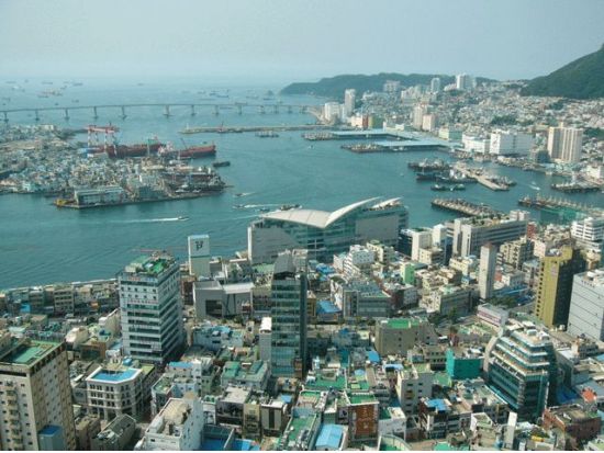 釜山市内半日観光ツアー　釜山タワー＆活気あふれるチャガルチ市場や国際市場を散策！釜山名物ヘムルタン（海鮮鍋）のランチ付き＜午前・午後／日本語ガイド／ホテル送迎＞