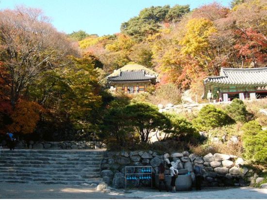 釜山発！慶州観光ツアー　3大世界遺産巡り　石窟庵と仏国寺＋瞻星台（歴史遺跡地区）＋良洞村　充実の凝縮プラン　韓定食ランチ＜1日／日本語ガイド／ホテル送迎付＞