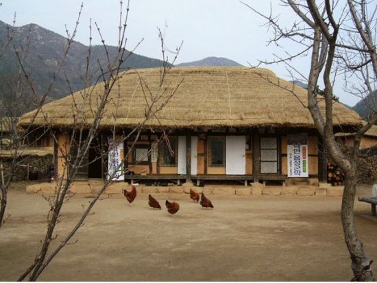 釜山発！順天（スンチョン）観光名所ツアー 順天湾湿地＋楽安邑城民俗村＋仙岩寺＋松広寺 ＜1日／日本語ガイド／ホテル送迎付＞