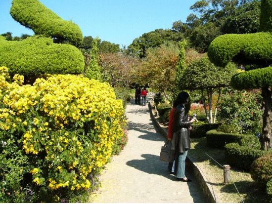 【釜山発・近郊観光ツアー】韓国屈指の景勝地 海金剛＋「冬のソナタ」のロケ地 外島海上農園＜終日／ホテル送迎付／日本語ガイド／昼食付＞