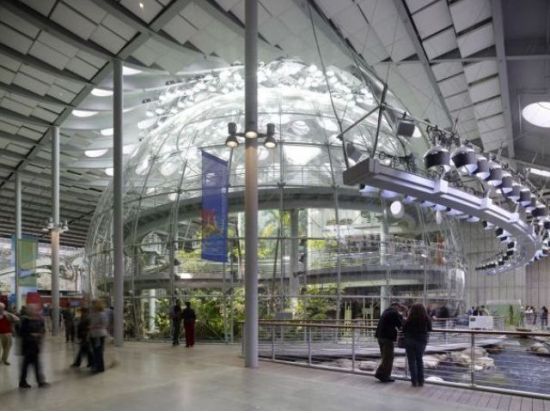 カリフォルニア科学アカデミー 　入場チケット＆裏側見学ツアー ＜英語ガイド＞