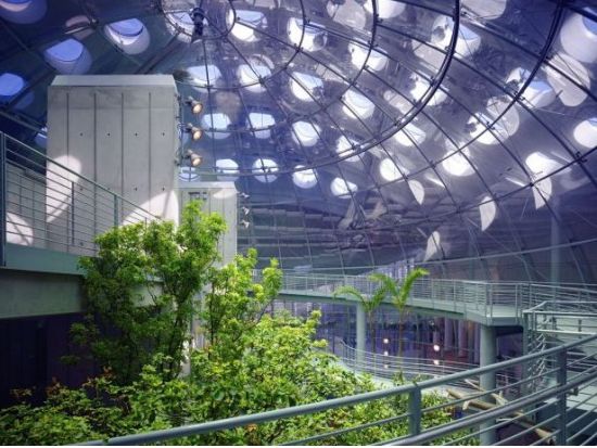 カリフォルニア科学アカデミー　入場チケット