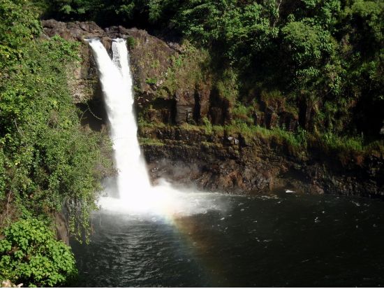 バン貸切ハワイ島観光チャーター 1日1組限定！公認ガイドによる島内観光＆世界遺産キラウエア火山日帰りツアー＜1-11名／日本語ガイド＞