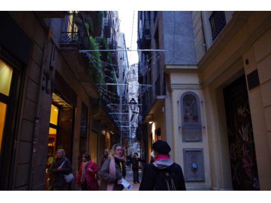 ピカソ美術館チケットつき！バルセロナ半日観光ツアー＜午前 or 午後／英語＞