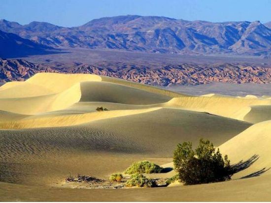 デスバレー国立公園 日帰り観光ツアー ゴーストタウン立ち寄り　貸切プランあり＜昼食付き／英語ガイド＞