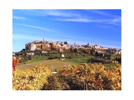 世界遺産アッシジ＋天空の街オルヴィエート1日ツアー 昼食付き＜日本語or英語ガイド／混載／ローマ発＞by GREEN LINE TOURS