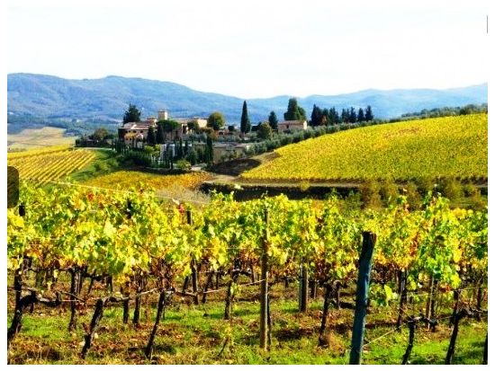 ピサ＋シエナ＋サンジミニャーノ3都市観光1日ツアー　ランチ＆ワイン試飲付＜英語／フィレンツェ発＞