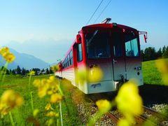 Mt Rigi, Rigi Kulm, swiss alps, cogwheel train