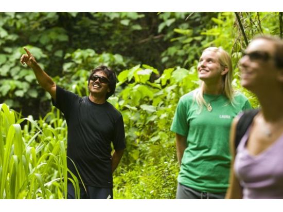 カウアイ島　キプサファリ・アドベンチャー　ジップライン＋ハイキング＋カヤック体験で大自然を満喫！ ＜昼食付き／英語インストラクター＞