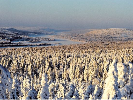 スノーモービルで行く！アイスフィッシング＆スノーシュー体験ツアー＜12～4月初旬／昼食付／ロヴァニエミ発＞