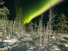 Northern Lights Snowmobile Tour from Rovaniemi