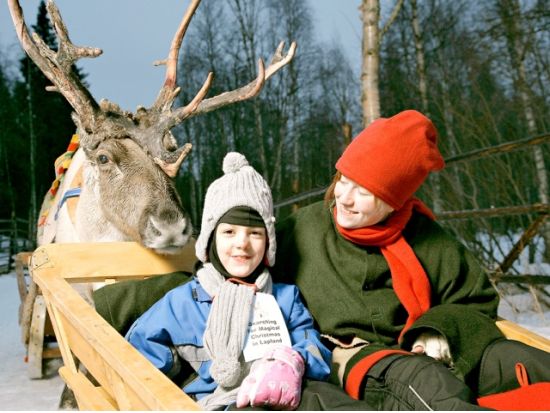 サンタクロース村 観光ツアー　トナカイぞりでサンタさんに会いに行こう！＜午前／12～4月初旬／ロヴァニエミ発＞