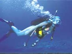 seabreeze10