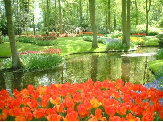 【2025年】春限定！キューケンホフ公園観光ツアー＜3～5月／アムステルダム発＞