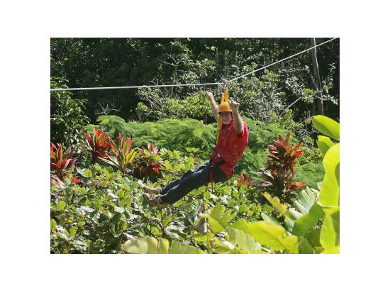 ハワイ島 ジップライン体験8本　ワールド・ボタニカル・ガーデンの中を滑走 ＜英語インストラクター＞