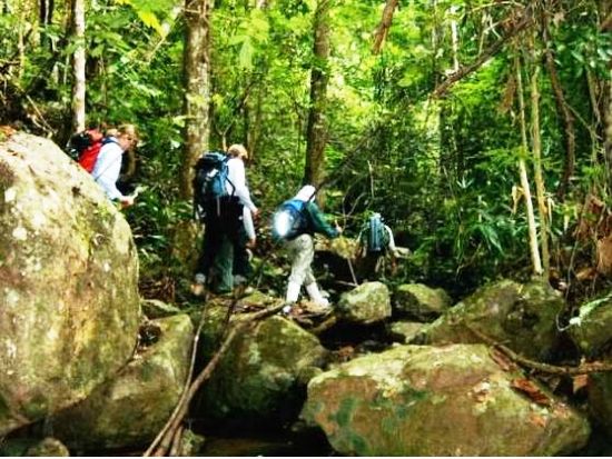 世界自然遺産カオヤイ国立公園＋象乗りトレッキング自然満喫1日ツアー＜1日／タイ料理ランチ／日本語ガイド＞