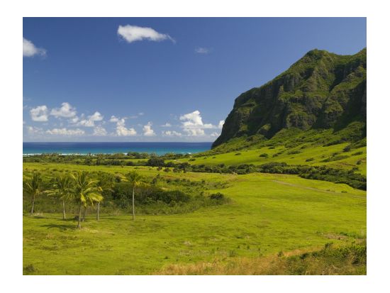 クアロア・ランチ　ジップライン体験（3時間）　最長約400メートル、最大高低差30メートルの谷を駆け抜ける！＜7本／送迎付きプランあり＞