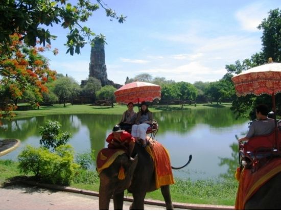 2つの観光名所を午前＆午後で巡る！アユタヤ遺跡＋水上マーケット＋象乗り観光ツアー＜1日／日本語ガイド／昼食＞