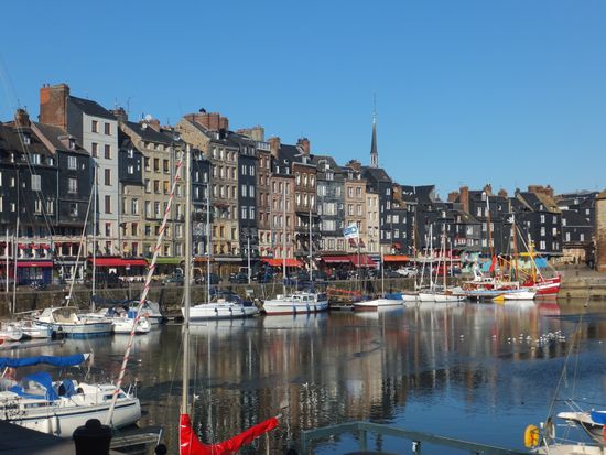 20130408191514_17314_fleur1