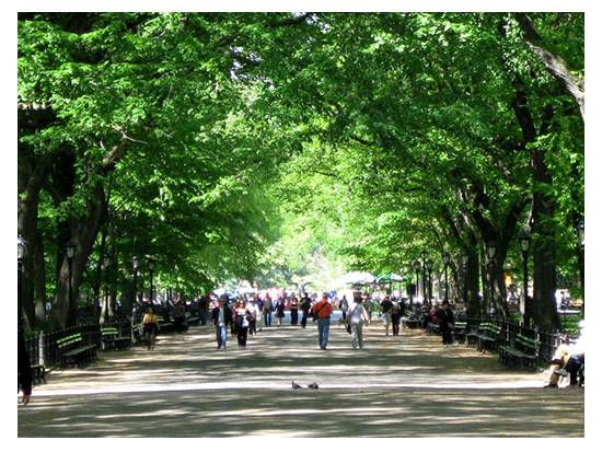 セントラルパーク　自転車レンタルサービス＜2時間～／現地集合・解散＞by Unlimited Biking