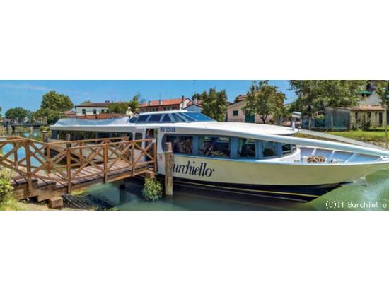 ブレンタ川クルーズツアー＜3月～11月／ヴェネツィアまたはパドヴァ発＞by Max Harvest