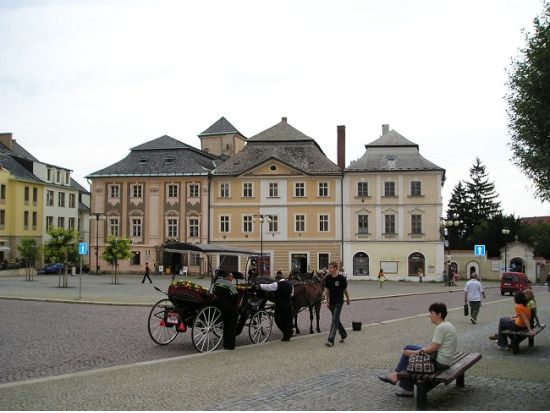 世界遺産クトナー・ホラ 半日観光ツアー＜日本語／プラハ発＞