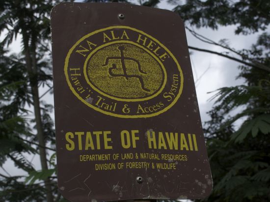 カウアイ島　中級者向けハイキングツアー☆ワイメア渓谷ワイポオ滝を訪問♪＜午前／英語ガイド／昼食付＞