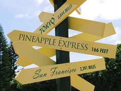 Dole_Signs