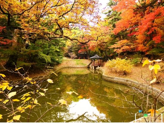 ソウル市内＆水原観光ツアー　世界遺産 昌徳宮（チャンドックン）＋宗廟＋北村＋水原華城　貸切・クルーズ付きプランあり！＜1日／日本語ガイド／昼食付／明洞解散＞