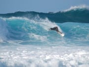 Surfer_NorthShore