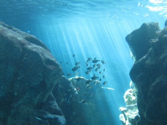 グロットシュノーケリング サイパンが誇る青の洞窟で幻想体験 ＜送迎あり＞ byマリアナス トレッキング