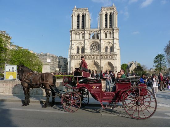 馬車に乗ってロマンチックにパリ散策ツアー＜１時間～／エッフェル塔付近＞