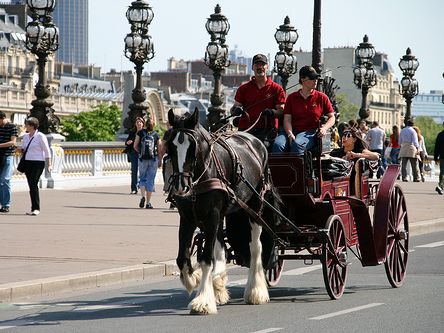 マドレーヌ寺院 | パリ 旅行の観光・オプショナルツアー予約 マドレーヌ寺院 | パリ 旅行の観光・オプショナルツアー予約