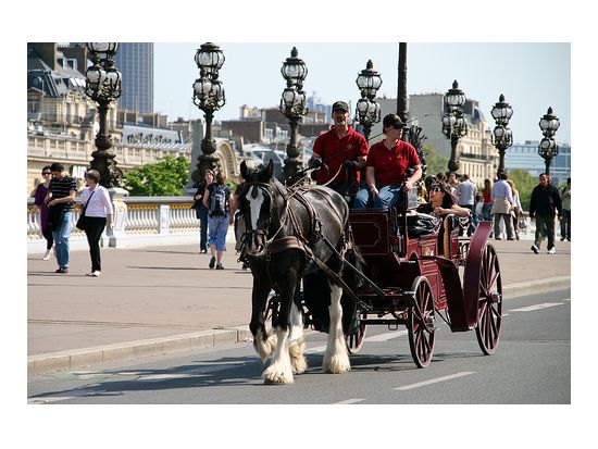 馬車に乗ってロマンチックにパリ散策ツアー＜１時間～／エッフェル塔付近＞