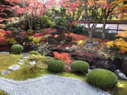 Senyuji Japanese garden