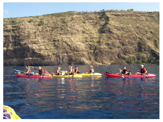 コハラコースト シュノーケル＆カヤックツアー ＜英語ガイド／軽食付＞by Adventures in Paradise