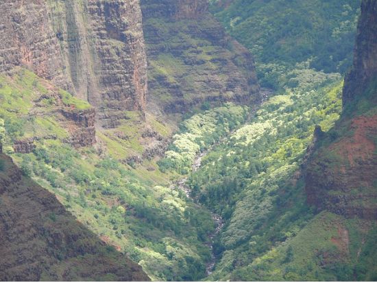 カウアイ島　中級者向けハイキングツアー☆ワイメア渓谷ワイポオ滝を訪問♪＜午前／英語ガイド／昼食付＞
